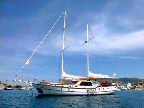 Yacht Gulet for charter in Bodrum