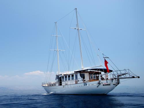 Segelboot Gulet chartern in Salamina