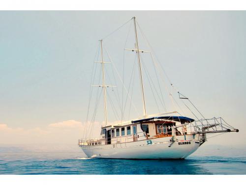 Segelboot Gulet chartern in Salamina