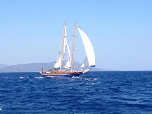 Sailboat Gulet available for charter in Bodrum