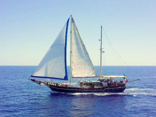 Sailboat Gulet available for charter in Puntone