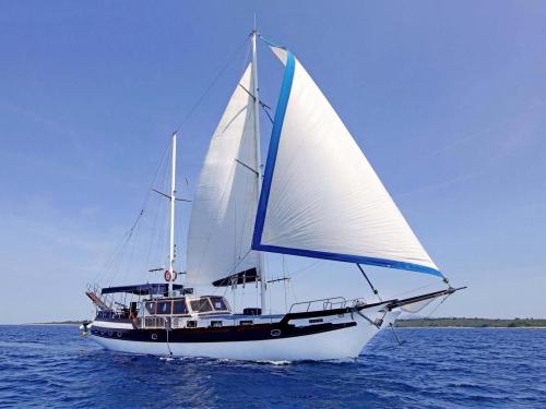 Sailing yacht Gulet for rent in ACI Marina Split
