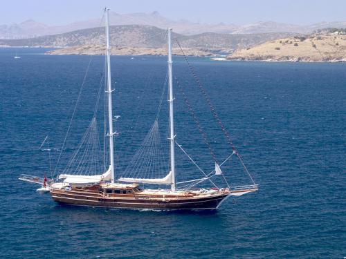 Yacht Gulet for rent in Marina Real Juan Carlos I