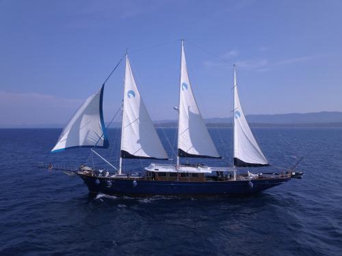 Sailing yacht Gulet for hire in Split