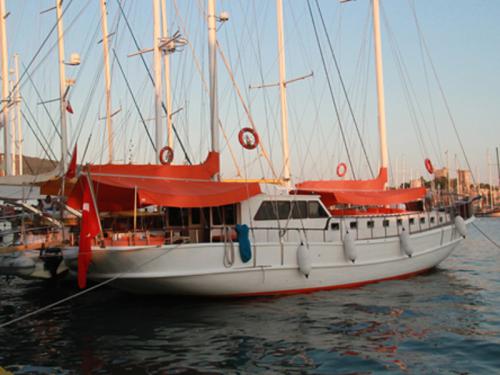 Yacht Gulet chartern in Bodrum