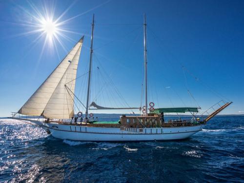 Sailing boat Gulet available for charter in Split