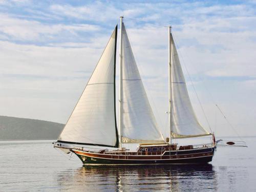 Yacht Gulet for charter in Bodrum