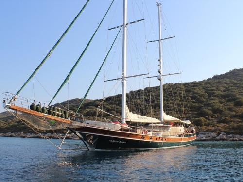 Sailing boat Gulet for rent in Bodrum