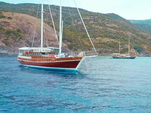 Sailing yacht Gulet for rent in Cannigione