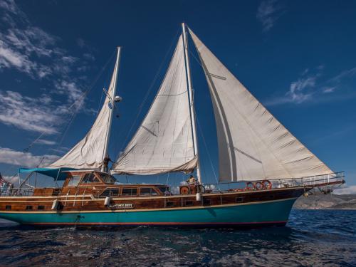 Yacht Gulet chartern in Athen