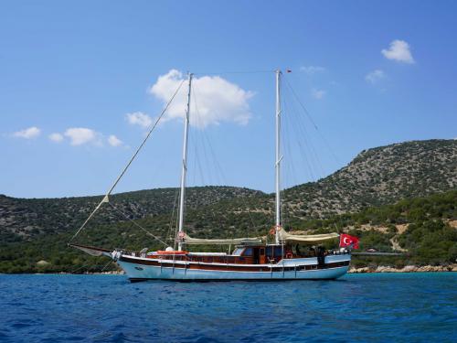 Sailing yacht Gulet for hire in Bodrum