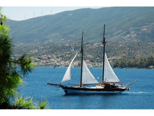 Yacht Gulet for hire in Athens