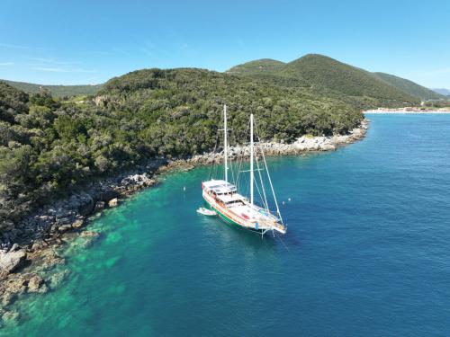 Segelboot Gulet chartern in Porto Montenegro