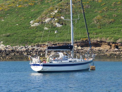 Sailing yacht Hallberg Rassy 36 available for charter in Hamble le Rice