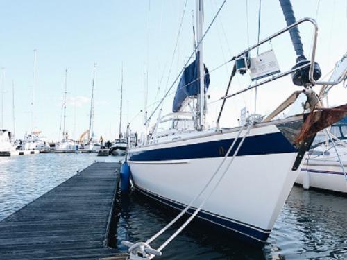 Segelyacht Hallberg Rassy 36 Yachtcharter in Hamble le Rice