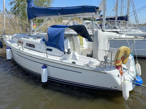 Yacht Hanse 315 Yachtcharter in Barth