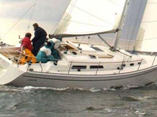 Hanse 341 Segelyacht Charter Athen