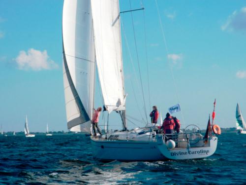 Yacht Hanse 430e chartern in Stralsund