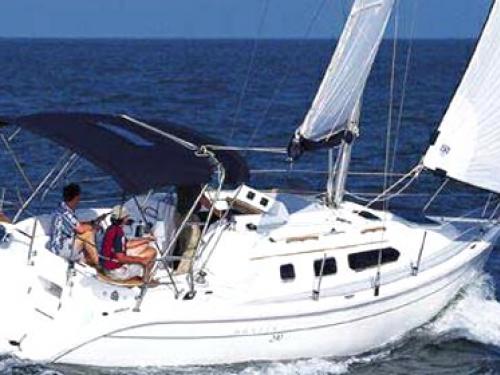 Yacht Hunter 290 Yachtcharter in Saint Petersburg