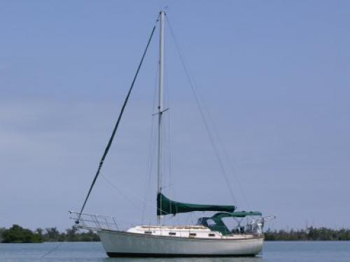 Yacht Island Packet 31 Yachtcharter in Tarpon Point Marina
