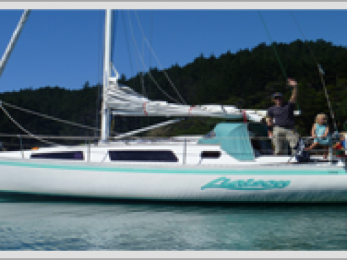 Segelboot Raven 31 chartern in Opua