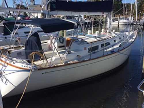 Segelboot Sabre 38 Yachtcharter in Rock Hall Segelboot Sabre 38 Yachtcharter in Rock Hall