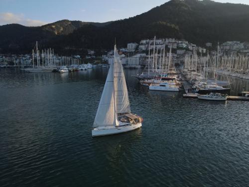 Yacht Sun Odyssey 379 available for charter in Fethiye