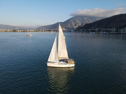 Yacht Sun Odyssey 379 available for charter in Fethiye