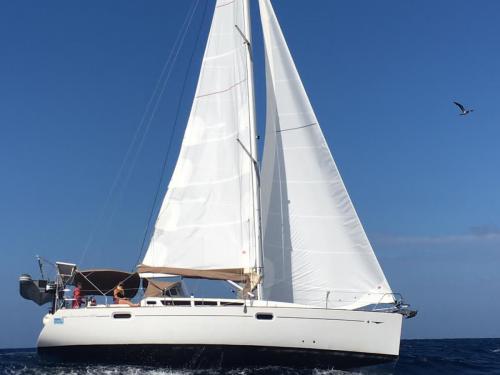 Sailing yacht Sun Odyssey 42i available for charter in Le Marin