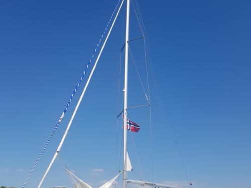 Segelboot Sun Odyssey 479 chartern in Sukosan Bibinje