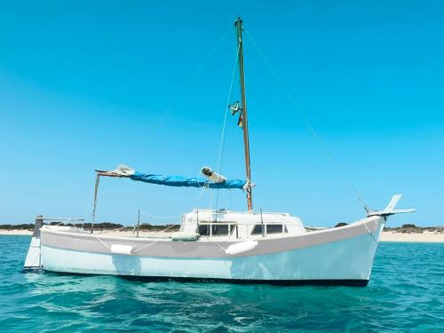 Sailing boat Super Pescadou for rent in Sant Antoni de Portmany