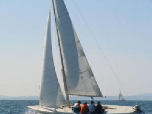 Segelboot Trias chartern in Langenargen