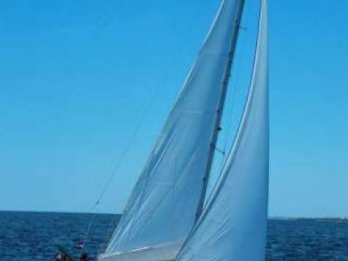 Sailing yacht Vektor 36 available for charter in Sukosan Bibinje