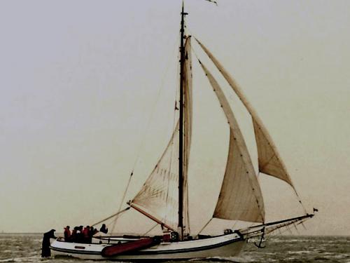 Yacht Witte Walrus - Sailboat Charter Harlingen