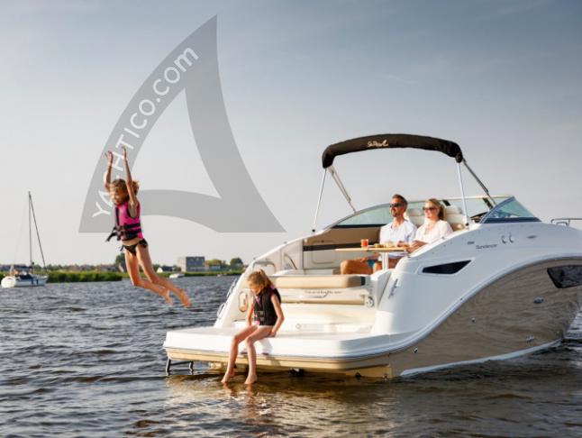 Motor yacht Sea Ray 265 for hire in ACI Marina Jezera