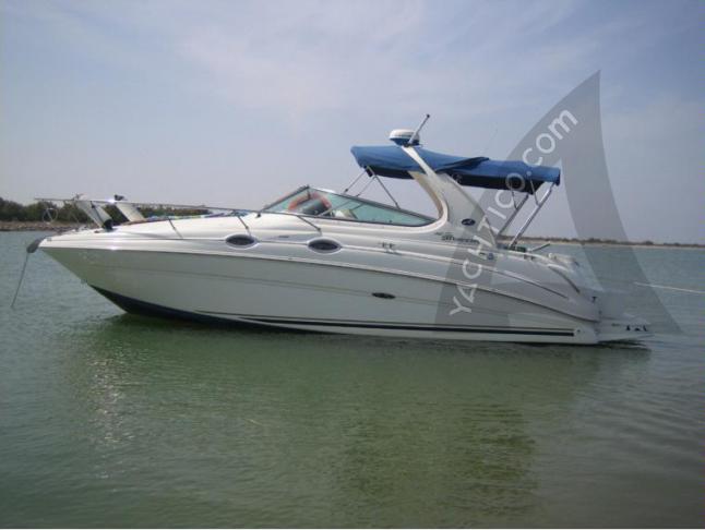 Motorboat Sea Ray 315 Sundancer for rent in Moniga del Garda