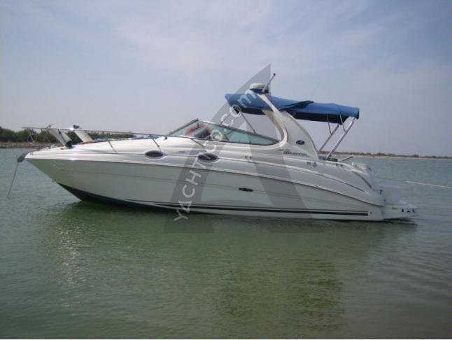 Motorboot Sea Ray 315 Sundancer Yachtcharter in Moniga del Garda