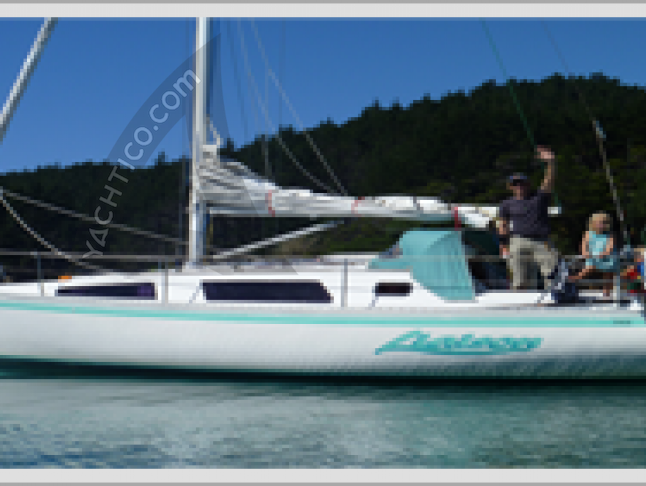 Segelboot Raven 31 chartern in Opua