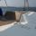 Catamaran Bali 4.1 for charter in Biograd na Moru