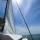 Cat Dufour Catamarans 48 available for charter in Cecina