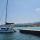 Catamaran Lagoon 52 F for hire in Propriano