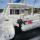 Catamaran Leopard 43 for rent in Clifton Harbour