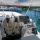Catamaran Leopard 50 PC available for charter in Portorosa