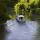Houseboat Penichette 1120 for rent in Carrick on Shannon  