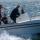Motorboat Elan 20 for charter in Unteruhldingen
