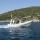 Motorboot Flyer 646 Golden Yachtcharter in Trogir