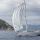 Sailing yacht Bavaria 33 Cruiser for rent in ACI Marina Vodice