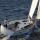 Segelboot Bavaria 37 Cruiser chartern in Arrecife