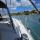 Segelboot Bavaria 39 Cruiser Yachtcharter in Grand Anse