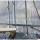 Yacht Bavaria 40 Cruiser for rent in Marina dell Isola